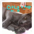 동삼1동-28 이미지