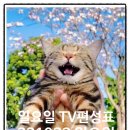 화목한공인중개사사무소 이미지