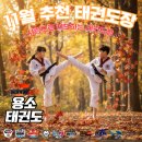 용소태권도 이미지