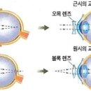 수도안경원 이미지