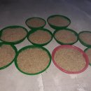 정례농장 이미지