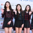 레드벨벳 카카오 검색결과