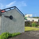 표선달채 이미지