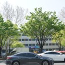 범어2동행정복지센터 이미지