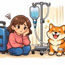 우리동네펫 | 서울시 우리동네 펫위탁소 취약계층 반려동물 무료돌봄 지원 시작