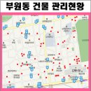 김해미셸