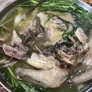 두메토종닭 이미지