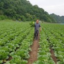 대가주천 이미지