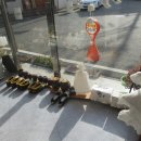 꽃그림 천아트 이미지