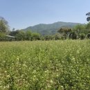 성중농장 이미지