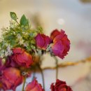 신동아방앗간 이미지