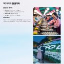 함평역 화장실 | 2025 대한민국 국향대전: 함평에서 펼쳐지는 가을 국화의 모든 것