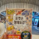 포켓몬 생태도감 구매 후기 아이가 하루 종일 읽은 이유