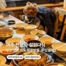 강아지밥집 | 여주 애견동반식당 설원다식 강아지 동반 한정식 솔직후기