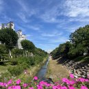 중앙공원 화장실(도서관) 이미지