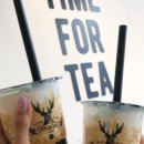 씨케이메디칼 이미지