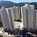 해뜰안애 이미지