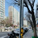 운암중학교 앞 이미지