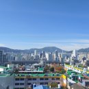 외나무약국 이미지