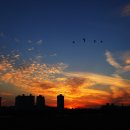 노을들녘 이미지