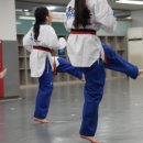 활기찬 태권도 이미지