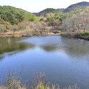 화동못수변공원 티스토리