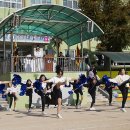 민락초등학교 이미지