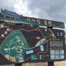 들국화마을주차장 공중화장실 | 통영 매화꽃 서피랑 동피랑 비교 여행코스 추천 벽화마을