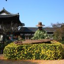 가야금산조기념관 이미지