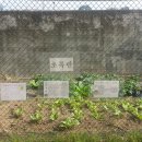 봉하어린이집 이미지