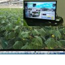 4차 산업혁명과 스마트 팜 이미지