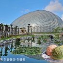 (주)디자인정글 | 거제 정글돔 완벽 가이드 : 이색 디저트 정글빵 6종 가격·맛 후기