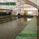 약수 낚시터 이미지