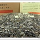 F7811 Daum카페