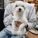 동물보육원 대전서구갈마지부 이미지