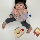 9개월 아기 교구 후기｜토이맘모스 넣기박스·소리상자, 아직은 이른 이유 (내돈내산)