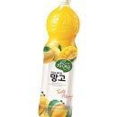 자연은