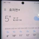 장거리 두곳 상황버섯 산행과 서리버섯 이제 나옴.135 이미지