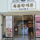 육류학개론