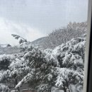 제헌농장 네이버블로그