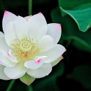 한마음여관 이미지