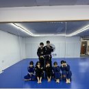 용문주짓수