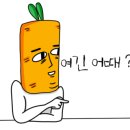 (주)나의여행 이미지