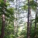 번천리마을 이미지