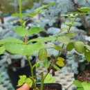 생명농장 이미지