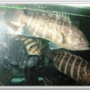 제주 올레길 3코스 A 이미지