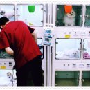 O.K 동물병원 이미지