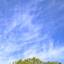 달밭골민박매점 | 소백산 등산코스 (삼가리-비로봉-국망봉-초암사 코스)