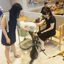 놀다가시개 이미지