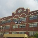 서교초교 이미지